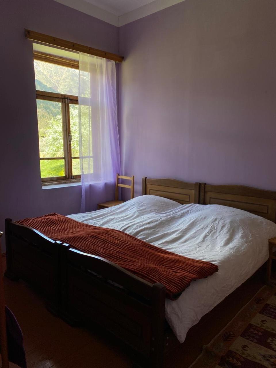 Lia Jamdeliani Guest House Bagvdanari Exterior photo