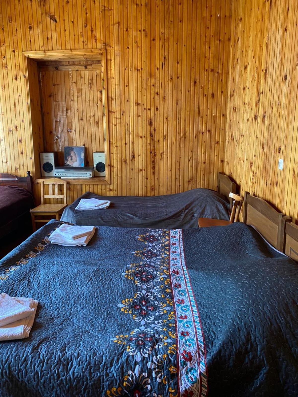 Lia Jamdeliani Guest House Bagvdanari Exterior photo