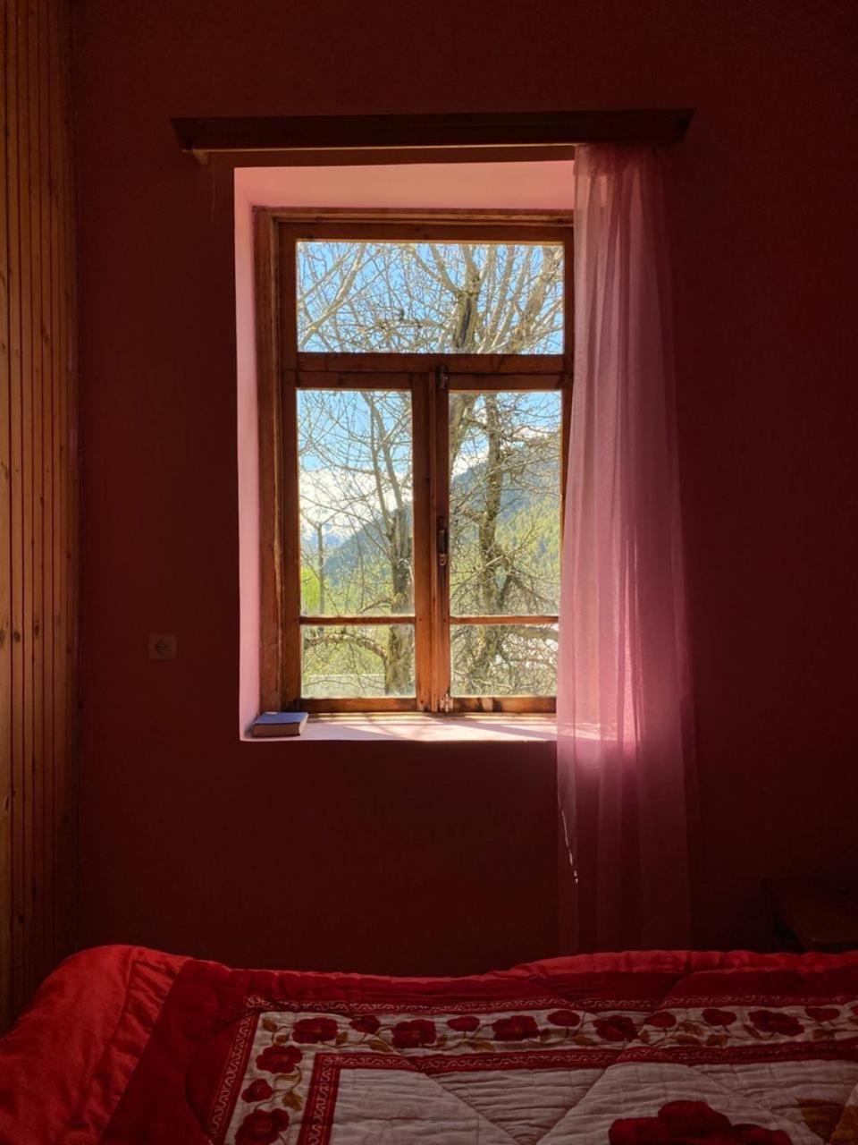 Lia Jamdeliani Guest House Bagvdanari Room photo